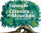 Exposição: “Oliveira do Mouchão, monumento vivo”